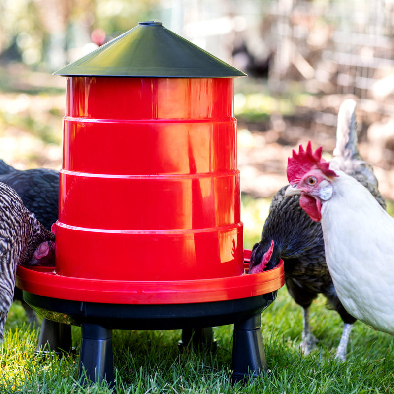 Heritage Feeders