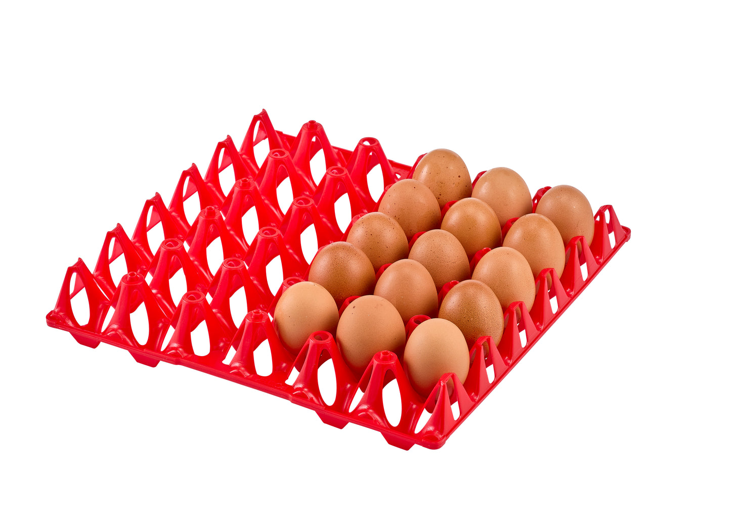 Vented Egg Tray (30 eggs)