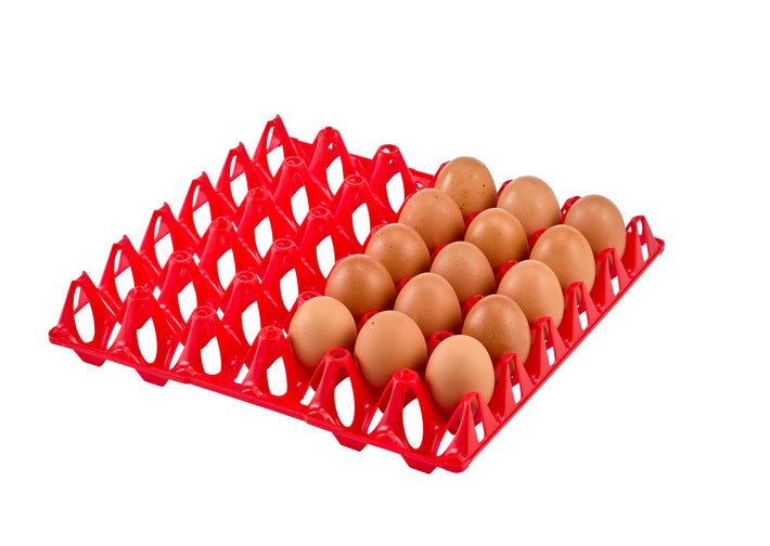 Vented Egg Tray (30 eggs)