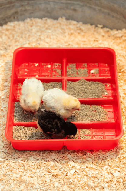 Ribbed Feed Tray