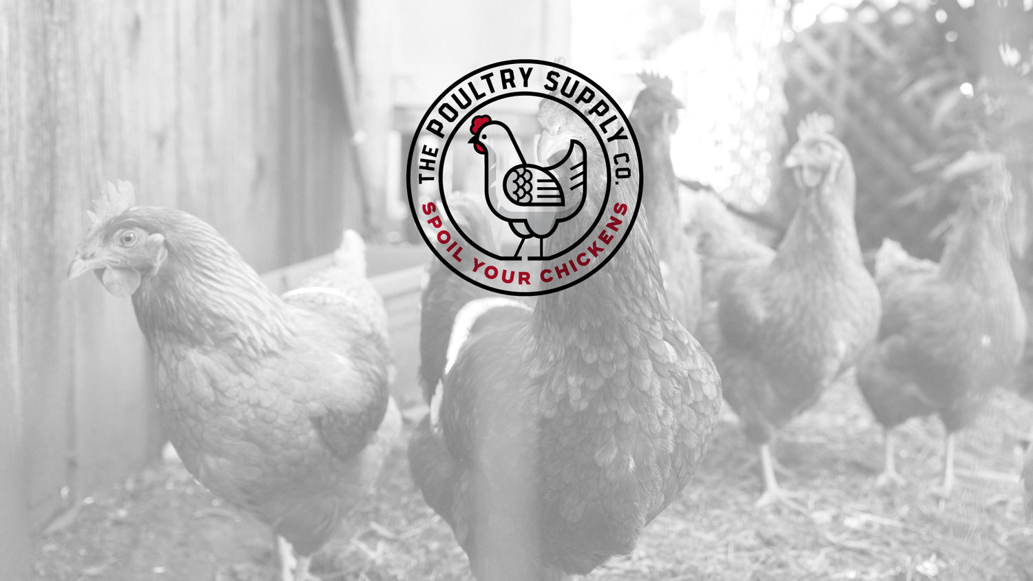 The Poultry Supply Co.