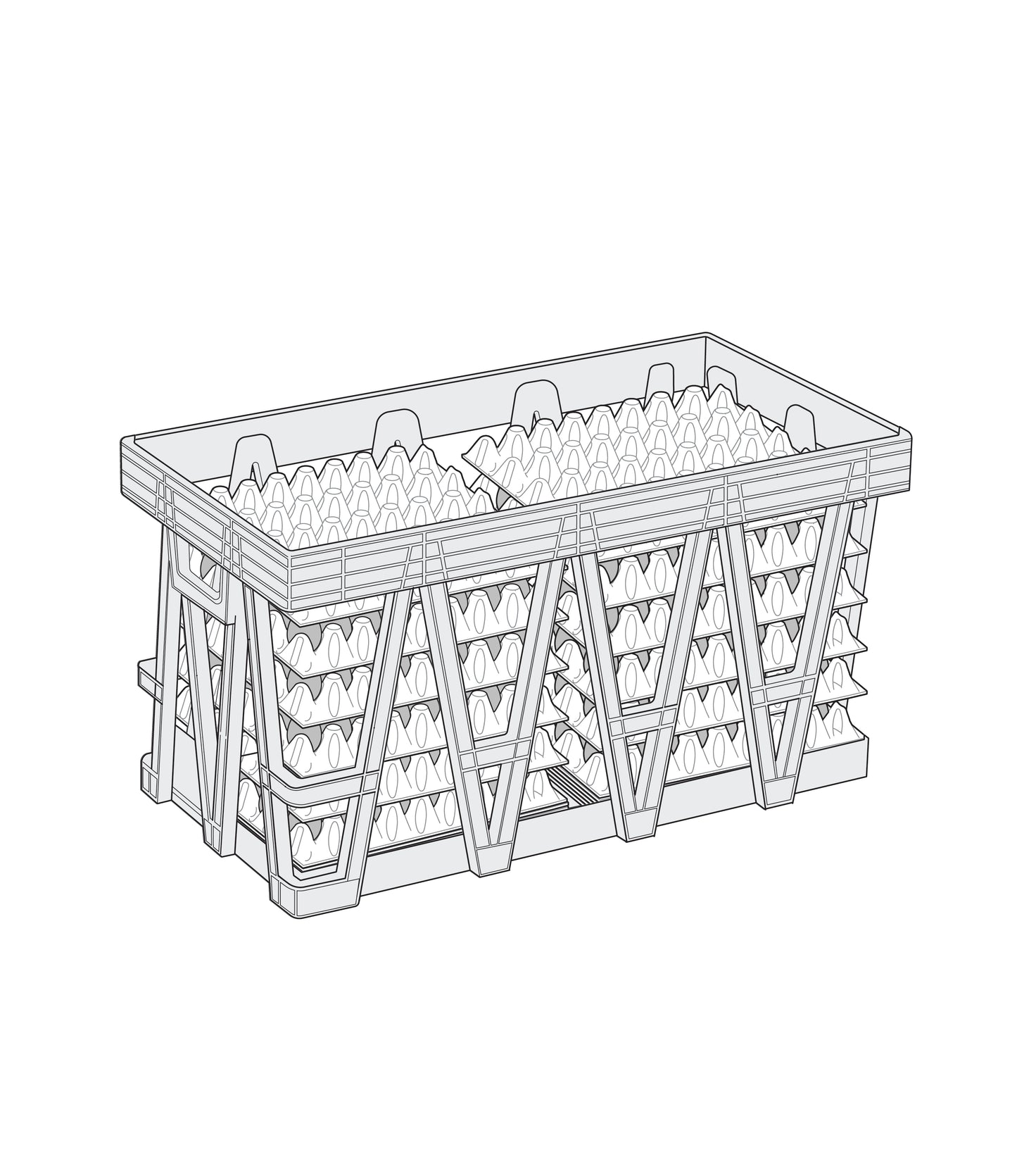Egg Transport Crate