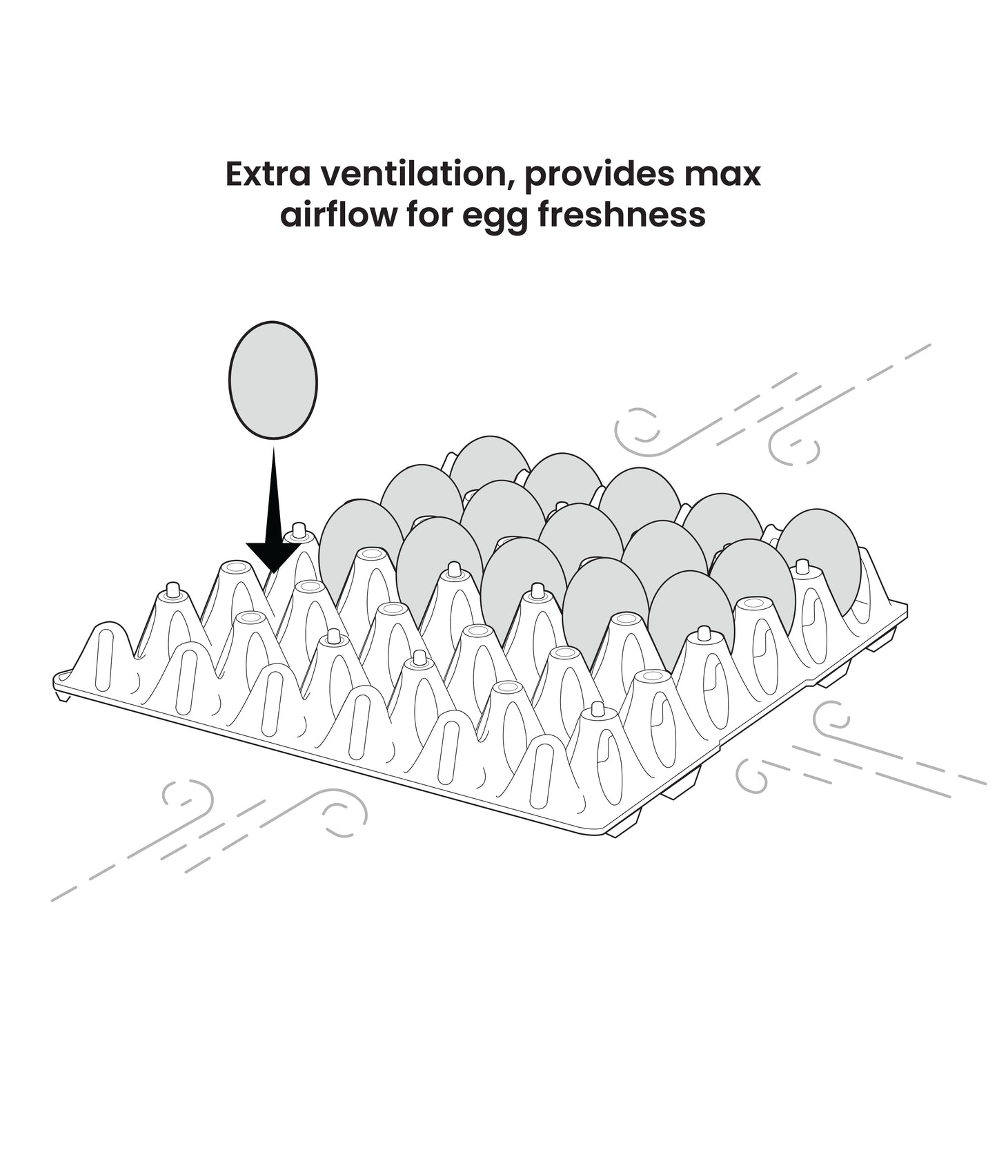 Vented Egg Tray (30 eggs)