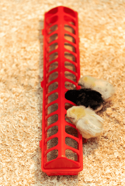Chick XL Trough Feeder (30-Port)